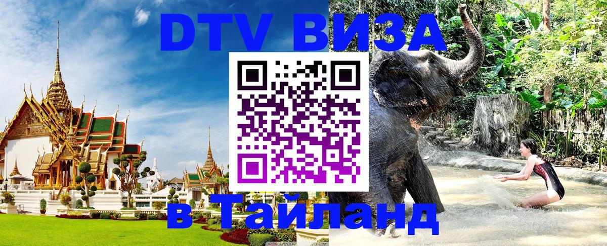 Оформление DTV визы под ключ: стоимость и тарифы, только загранпаспорт - 03.10.2025 